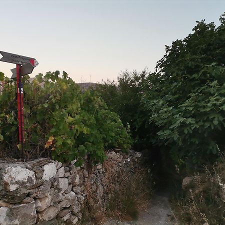 Naxos Mountain Retreat - Tiny House Build On Rock Apartment Koronos Exterior photo